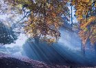 Autumn in Longshaw 3